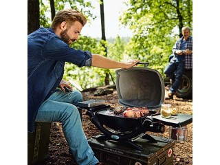 Газовый гриль Weber какой выбрать?